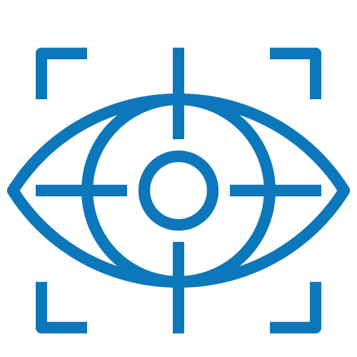 Icons Vision